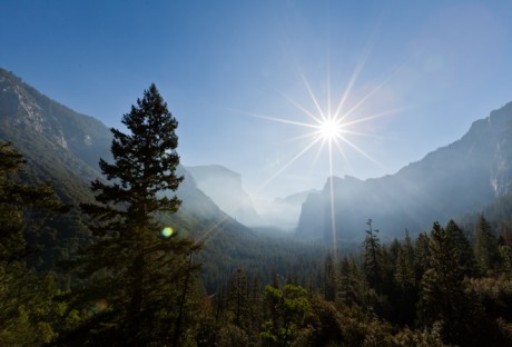 Voyage | Sequoia & Yosemite National Parks