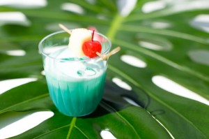Hawaiian Party!